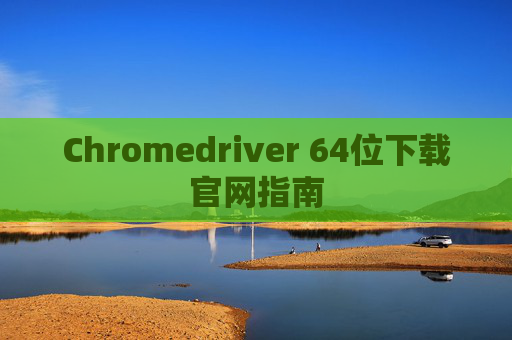 Chromedriver 64位下载官网指南